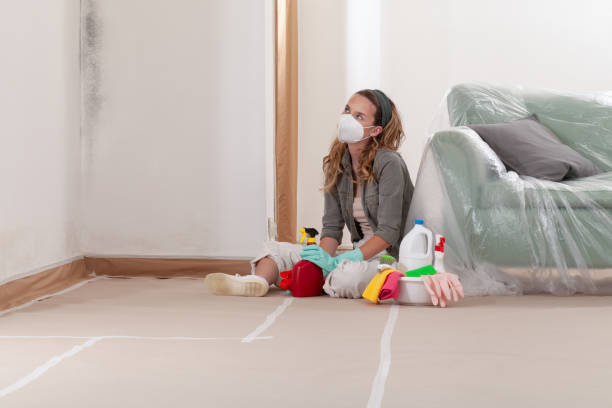Reliable Commercial Mold Remediation contractor in Kenilworth, IL by WQB Mold Removal